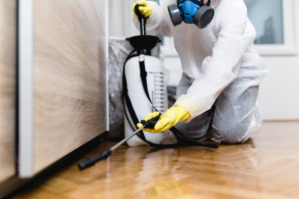 Best Best Pest Control Companies  in Live Oak, CA