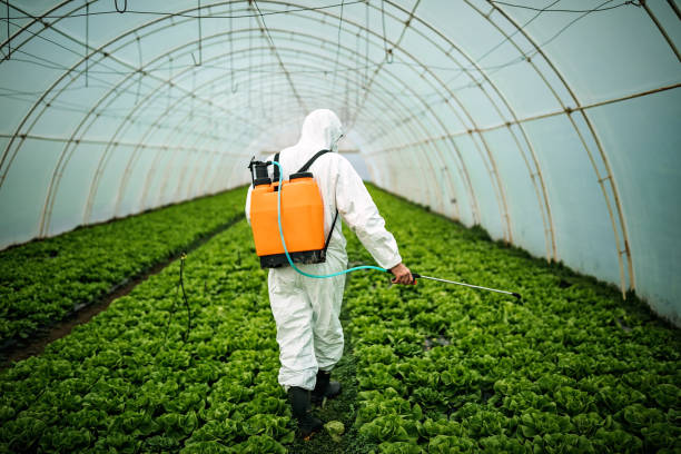 Best Affordable Pest Control Services  in Live Oak, CA