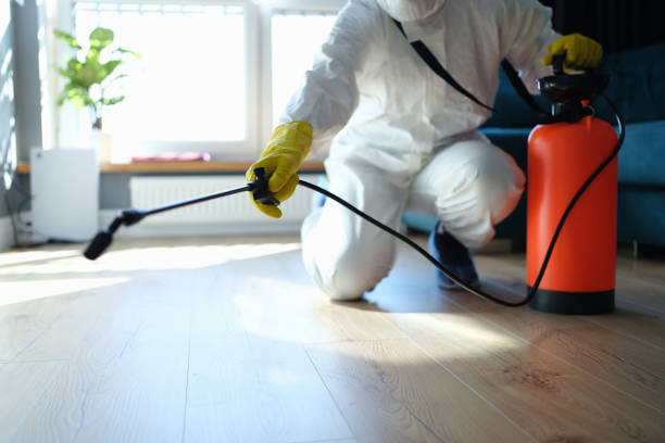 Best Commercial Pest Control Services  in Live Oak, CA