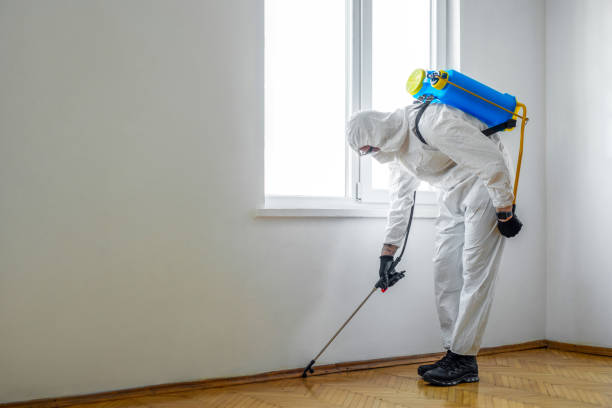 Best Emergency Pest Control  in Live Oak, CA