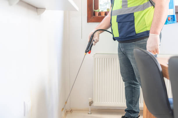 Best Local Pest Control Services  in Live Oak, CA
