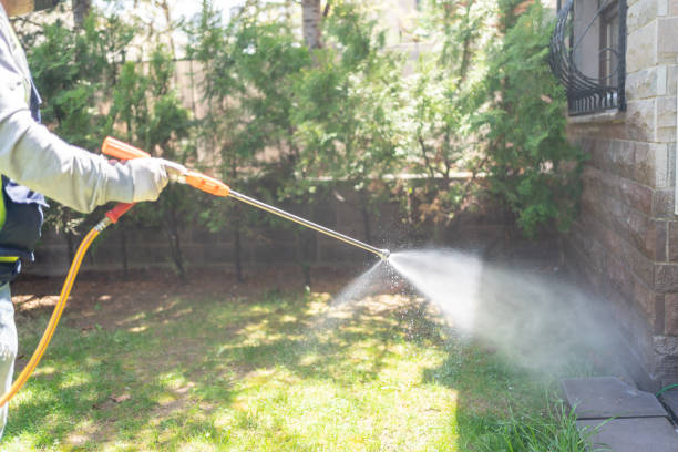 Best Flea Control Services  in Live Oak, CA