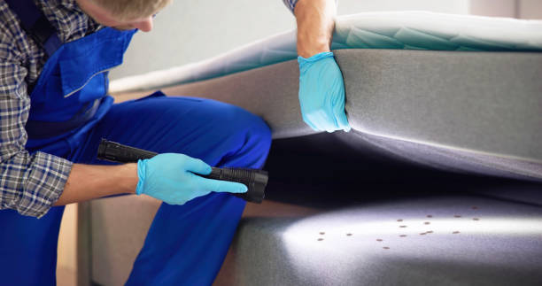 Best Residential Pest Control  in Live Oak, CA